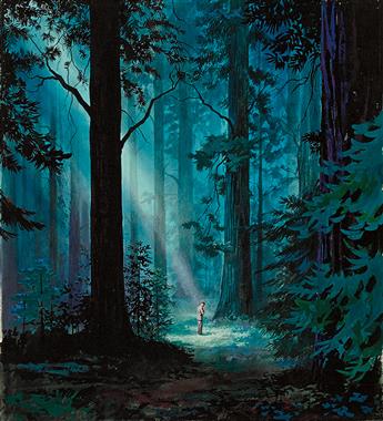 HECTOR GARRIDO. A ray of light in the forest.